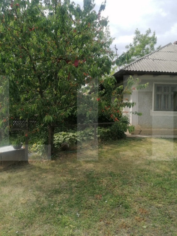 Casă bătrânească de vânzare – Brăești, județul Bot
