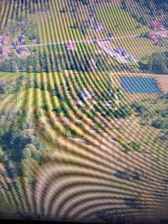 Domeniu privat 6 hectare cu lac și păstrăvărie | Vilă 6 dormitoare | C