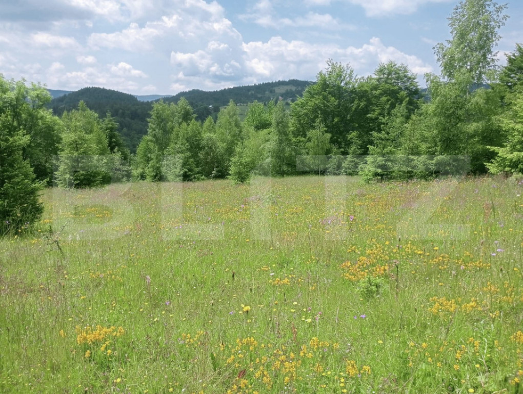 Teren intravilan de vânzare, 12000mp, Trâncești, Scăriș