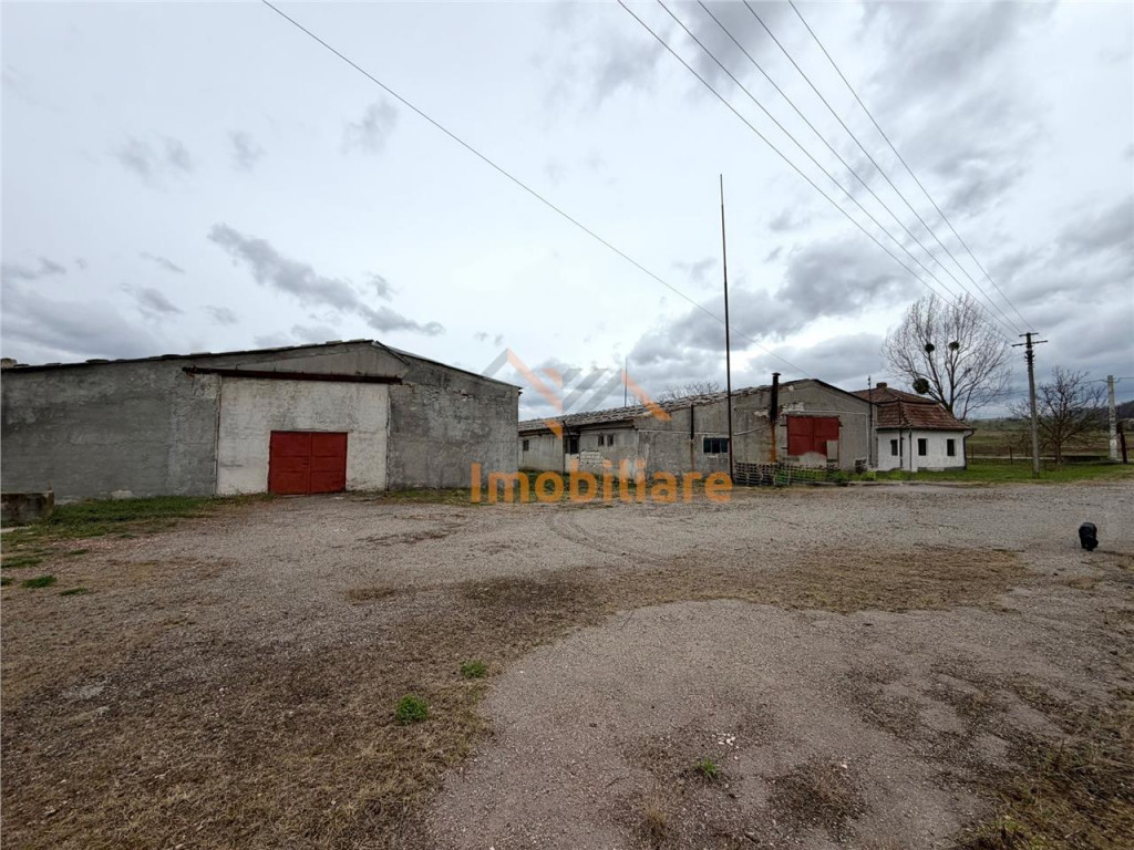HALE INDUSTRIALE | CLADIRE BIROURI | TEREN 7000 MP | GHEGHIE