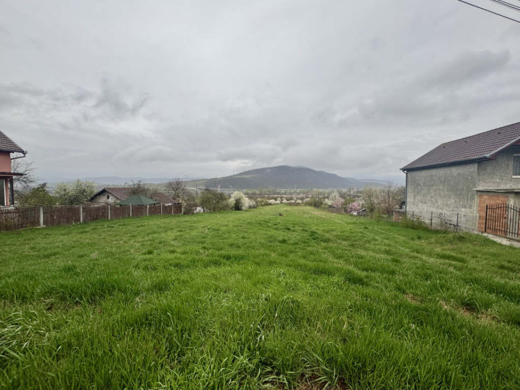 Vila Exclusivista Vetel,valea Caoiului