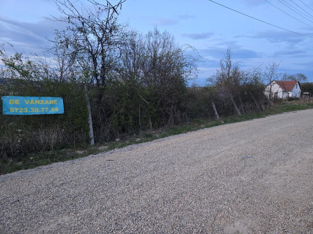 Ter Zona Coline-Raspantii, 1000 mp , utilitati, intre case, gaz