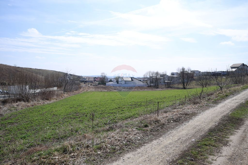 Teren 3,500mp Moara / Strada Pprincipala