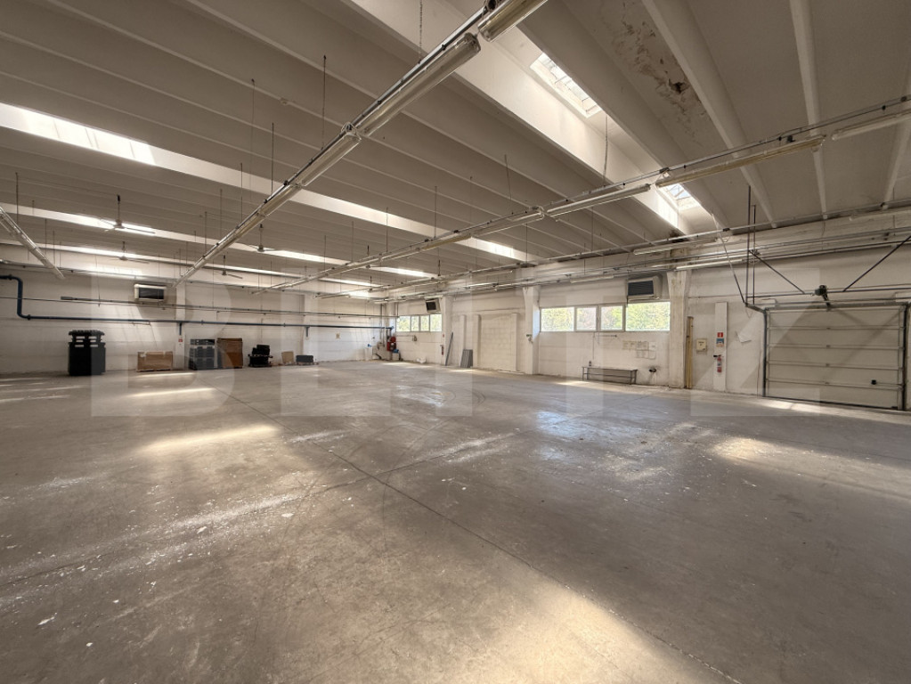 Cladire birouri , hala de productie, spatii depozitare, parc