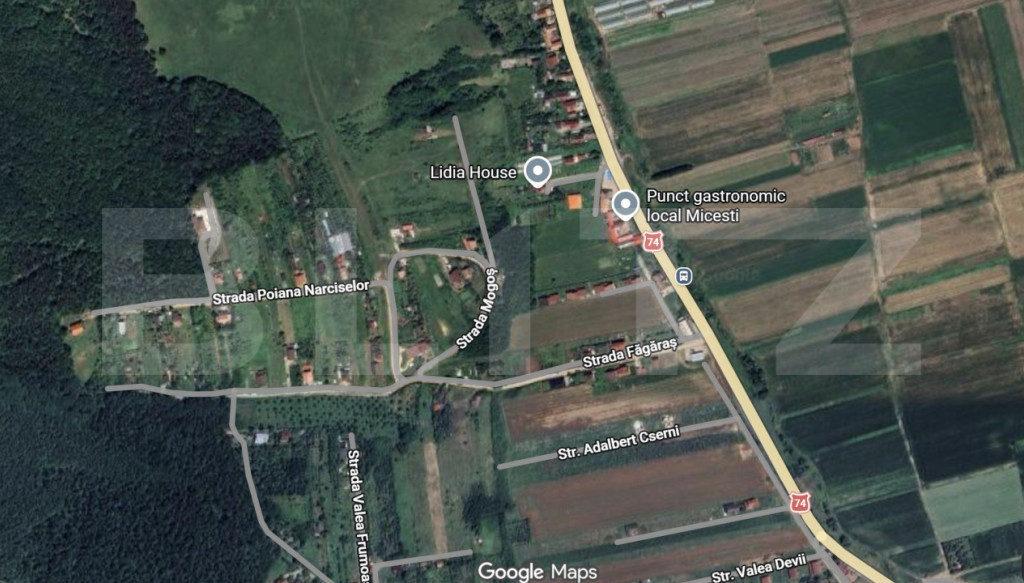 Teren intravilan ,4200mp, Micesti.