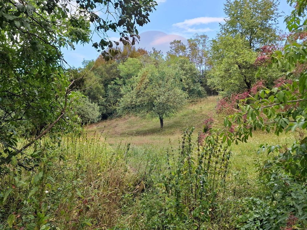 Teren construibil de vânzare 990mp în Barzava, județul...