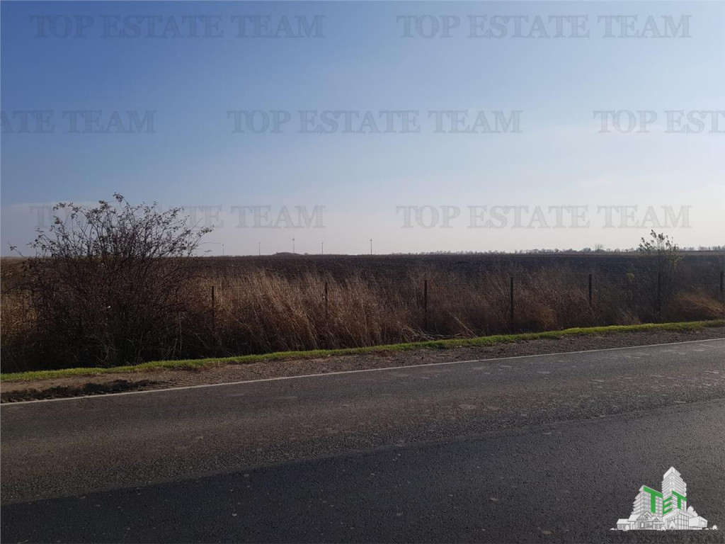 Teren extravilan - Braila - E584 -