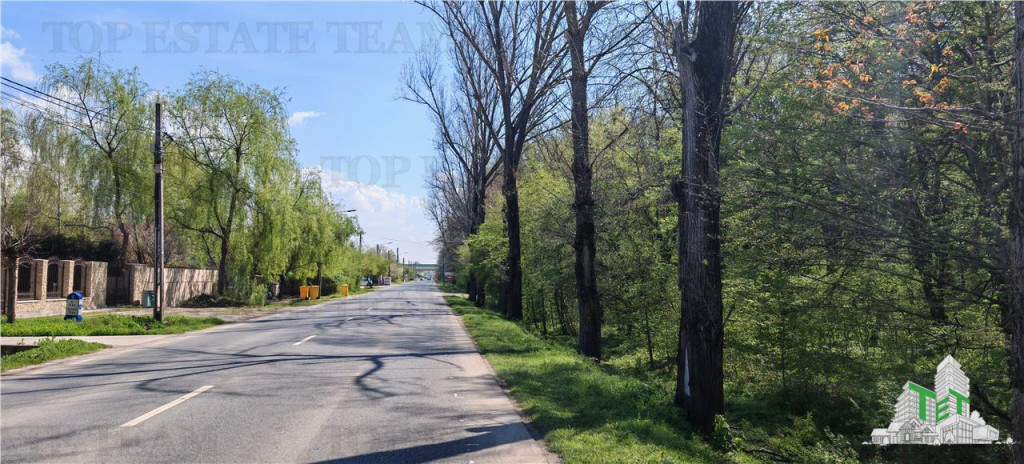 Teren constructii, 650 mp, langa padure, apa, gaze, curent,