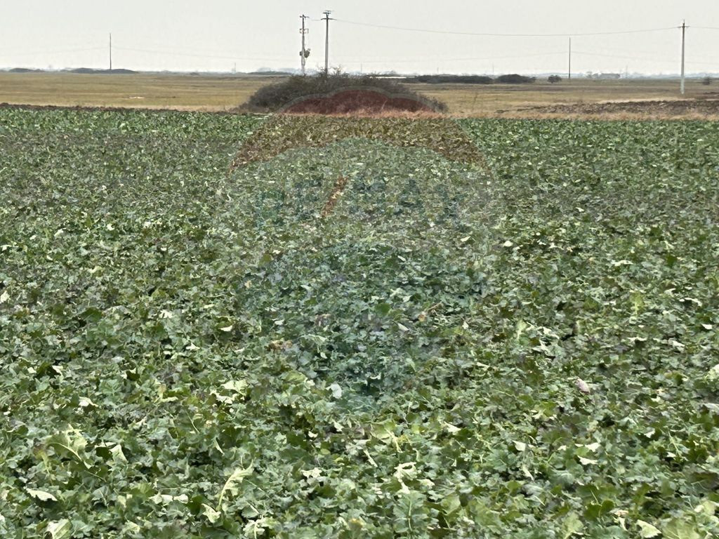 Teren intravilan 80500mp. aproape de nodul rutier de pe D...