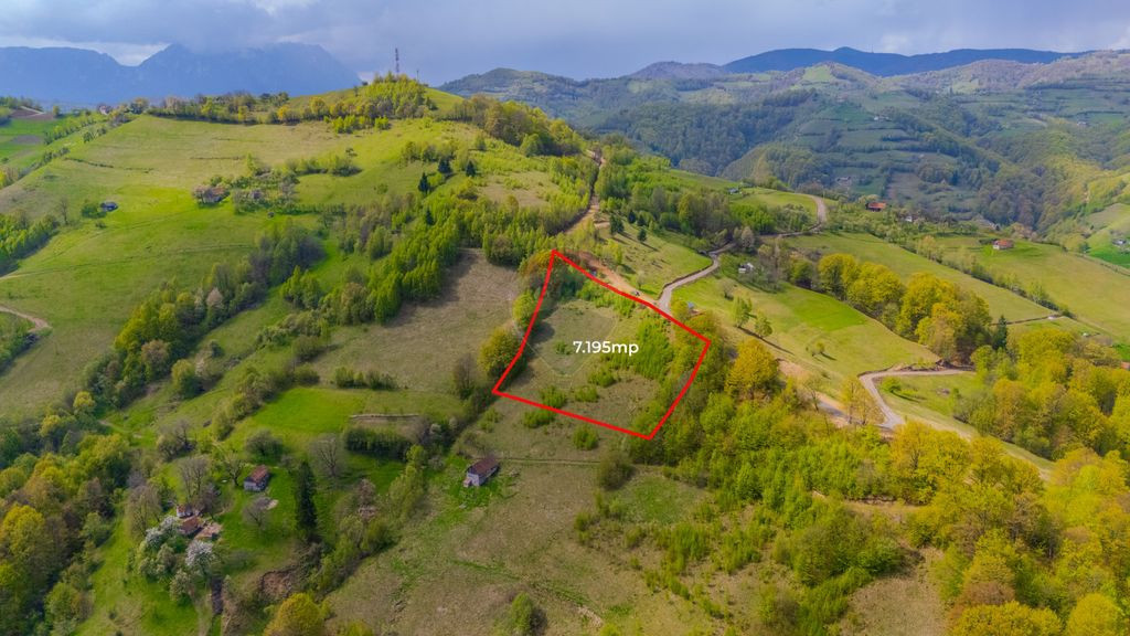 Teren 7,195mp Poiana Marului /Extravilan/Oportunitate inv...