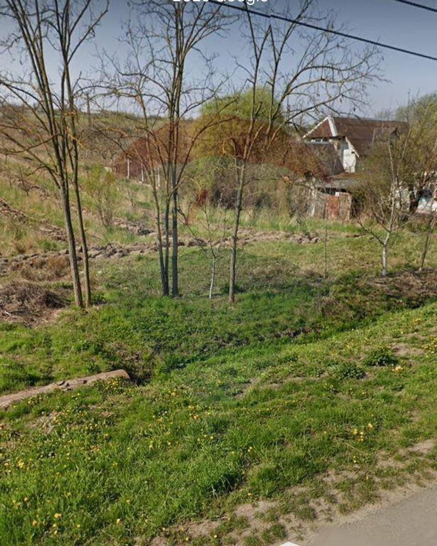 Teren 2.341 mp Uileacu de Munte front 26 ml la drum asfaltat