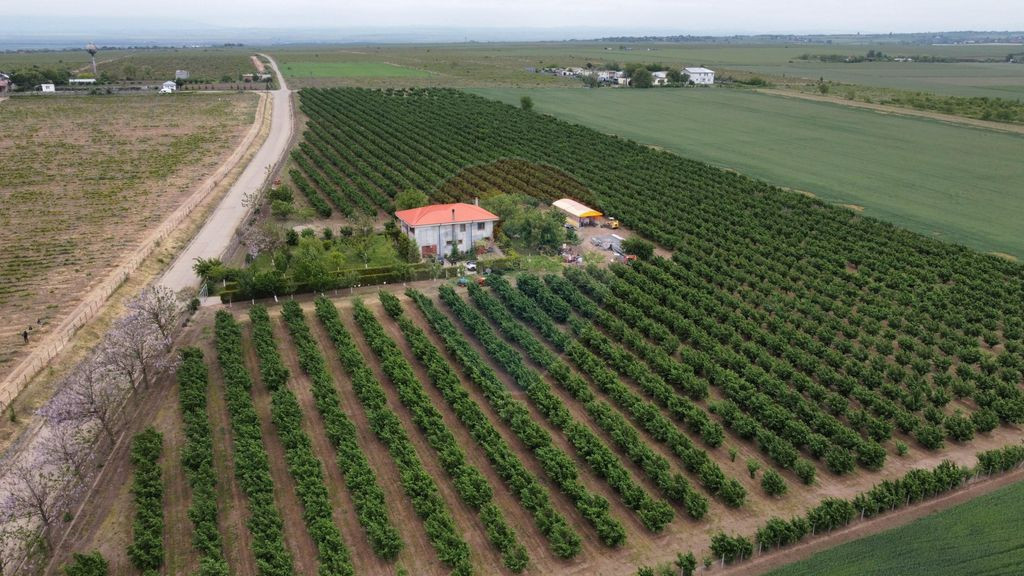 Casă - plantatie aluni 41300mp