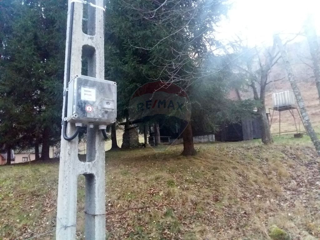 Teren 6700 mp, Apuseni, Pietroasa, Valea Aleului, Bihor, ...
