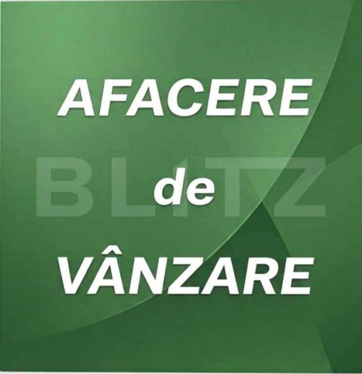 Afacere la cheie! Cladire individuală, 500 mp, plus 9 ari t