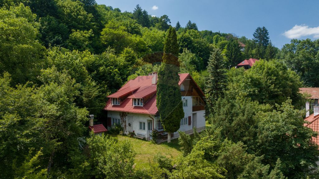 Vanzare două vile, cu potential investitional în Brașo...