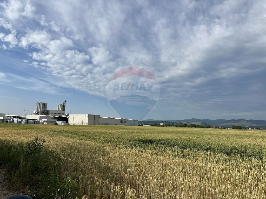 Teren zona industriala Roznov