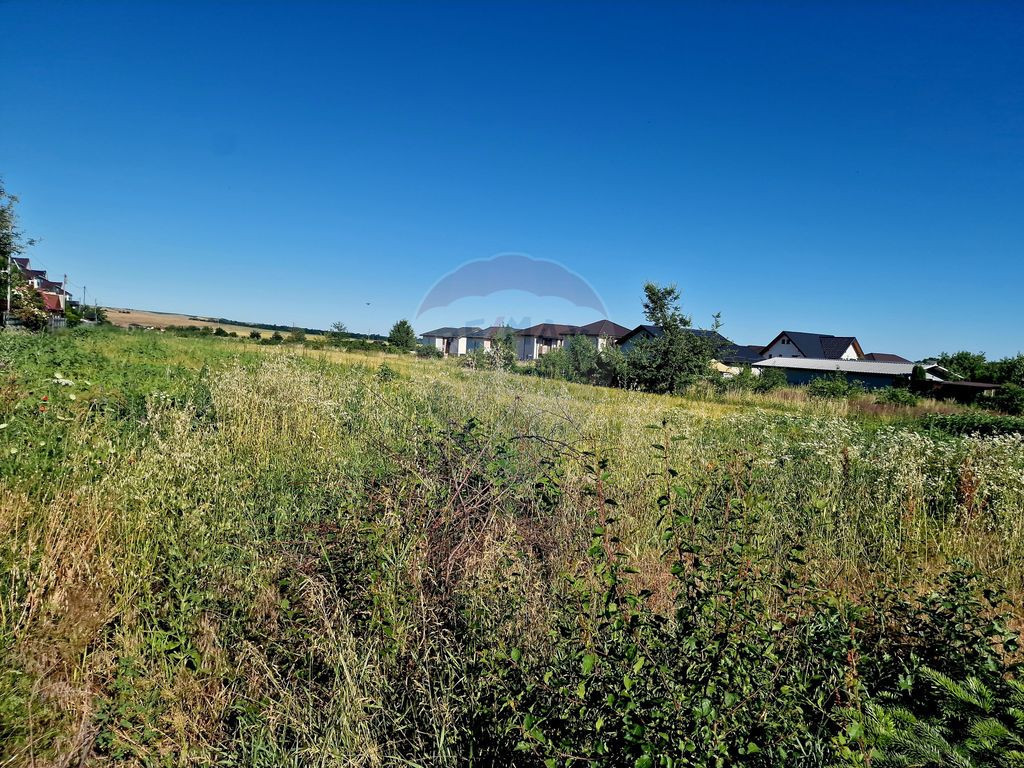 Teren intravilan Piatra Neamt