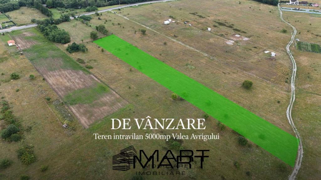 Teren intravilan 5000mp Valea Avrigului