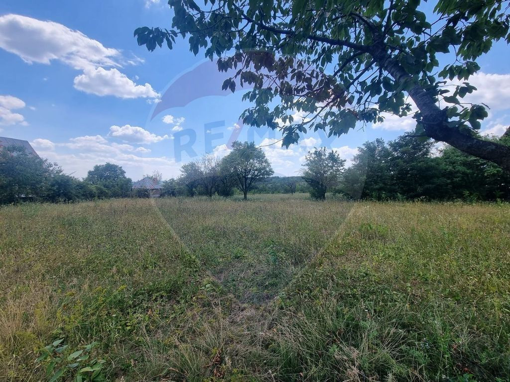 Teren intravilan 11.500 mp – Strada Cismari Vălenii ...