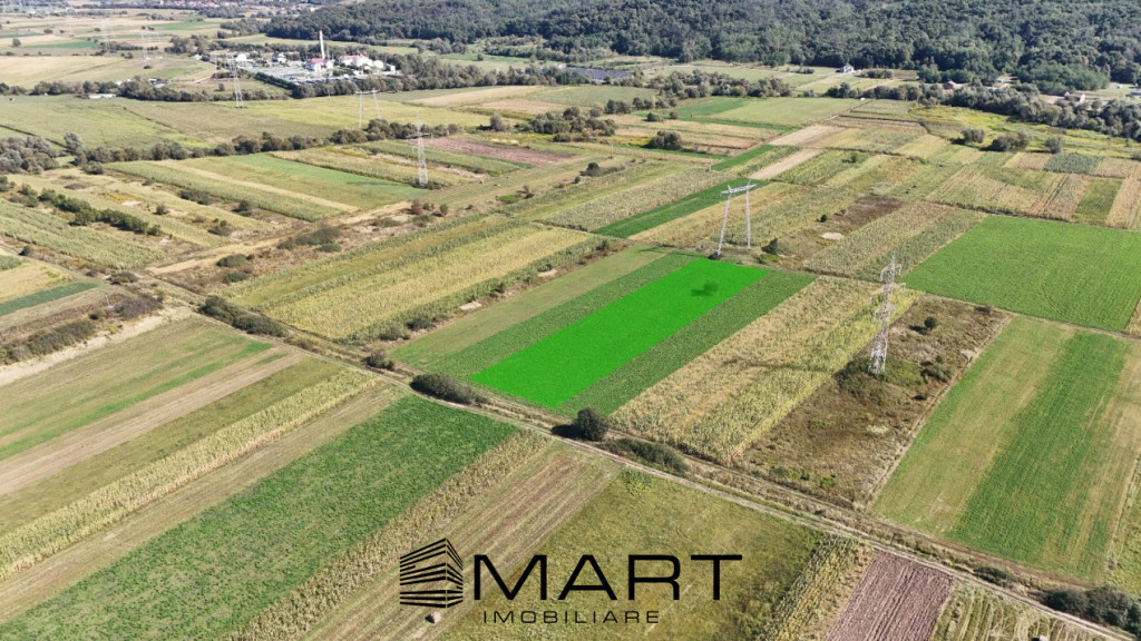 Teren extravilan de vânzare –5000 mp, Șelimbăr (Mohu)