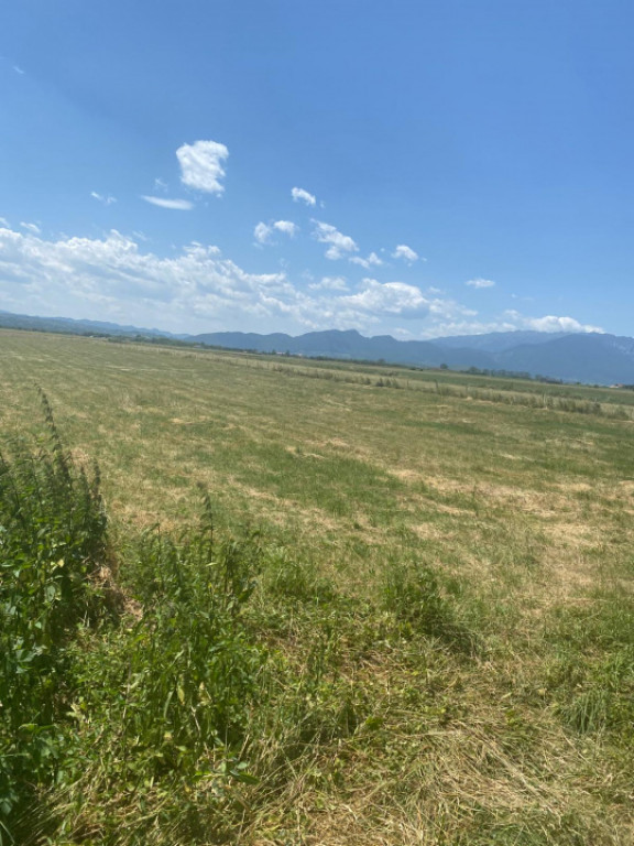 Teren Rasnov 1935 mp