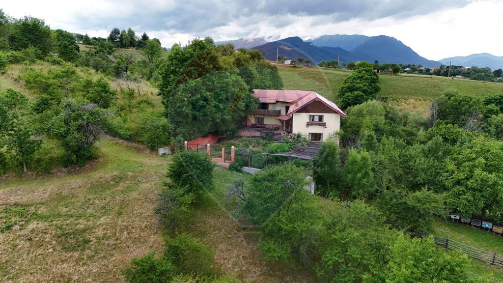 Refugiu exclusiv în Carpați – O oportunitate unică d...