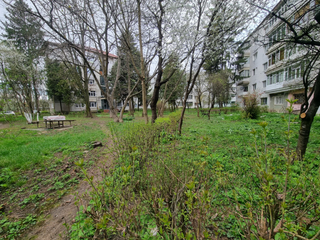 Zonă verde- apartament două camere decomandate, cu îmbun?
