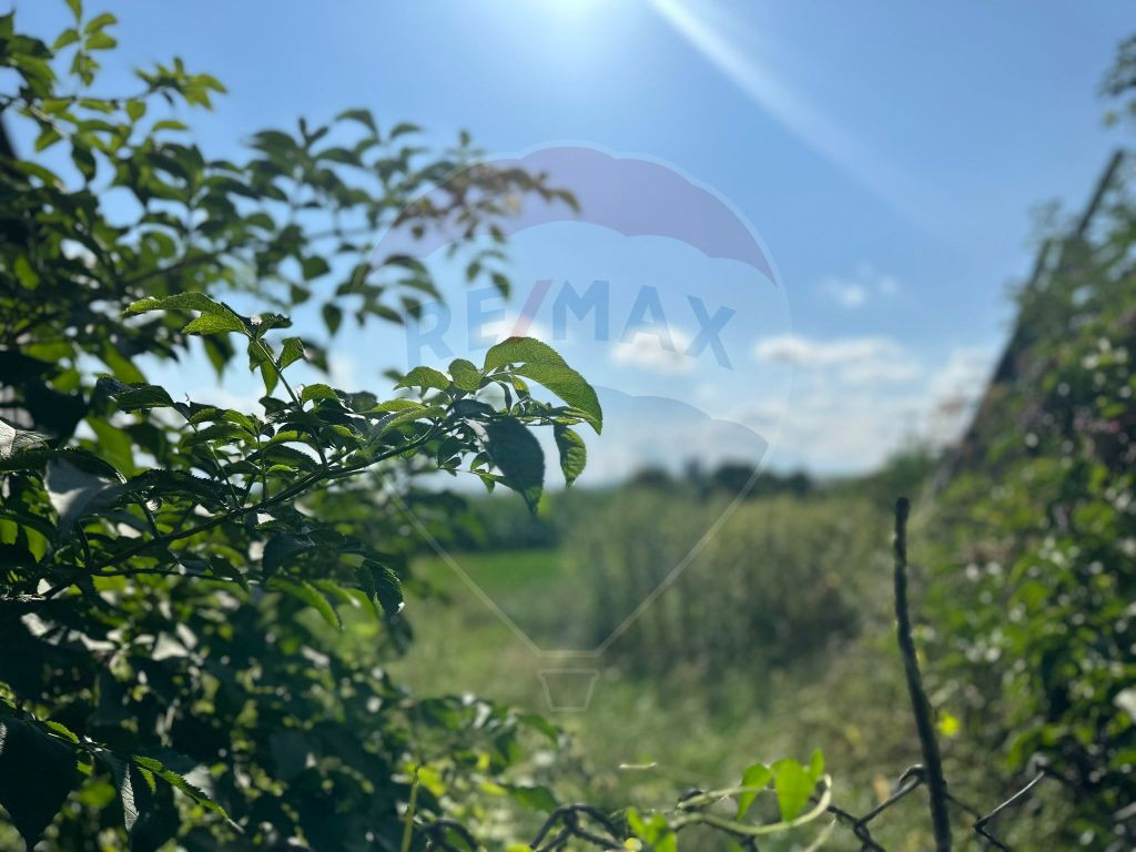 Teren intravilan 3.765 mp cu casă – Bodești de Jos