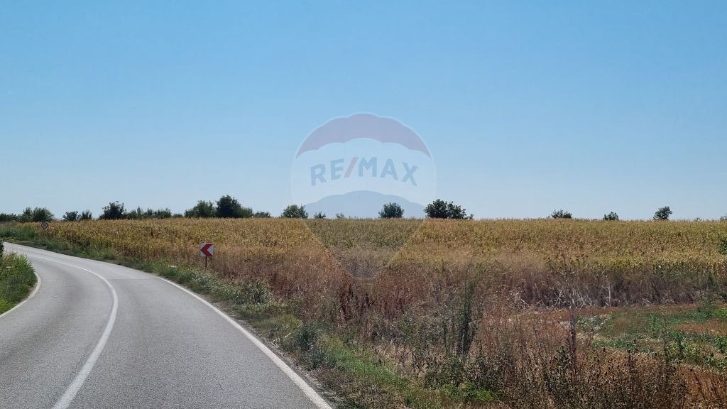 Teren 16.083 mp de vânzare – Sinești, sat Lilieci, Sl...