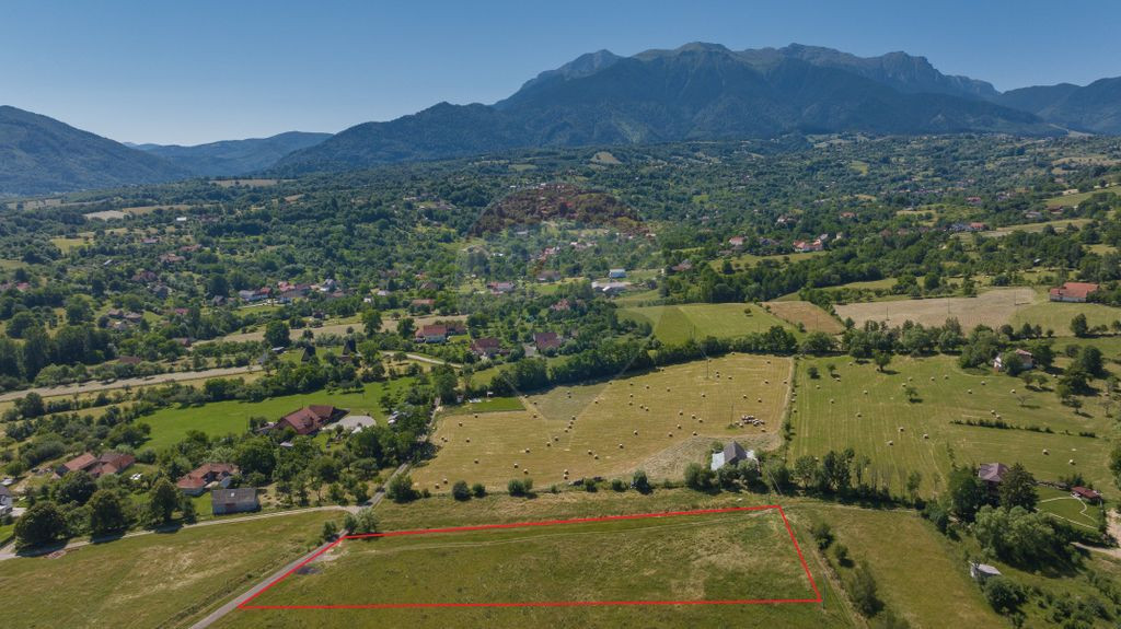 Teren 3,500mp Bran / Strada Bradul Inalt