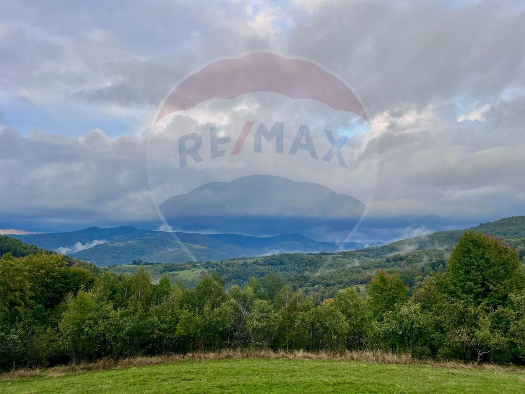 Pensiune cu 13 camere de vânzare in Bulz