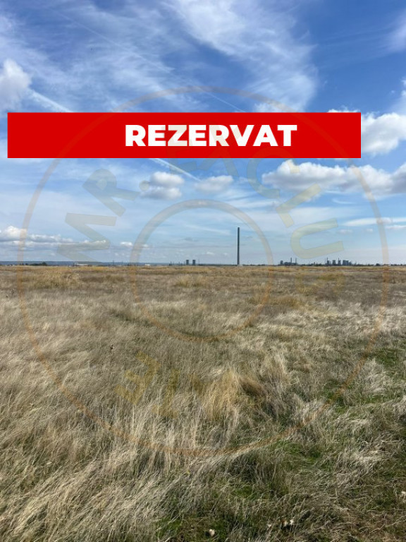 Teren 10000 mp - Albota Papillon, zona industriala in plina