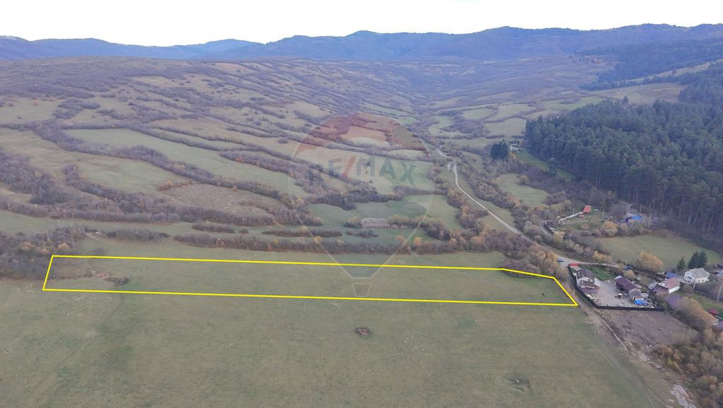 Teren 5.800 mp Purcareni curent, gaz, apă / Strada 30 de...