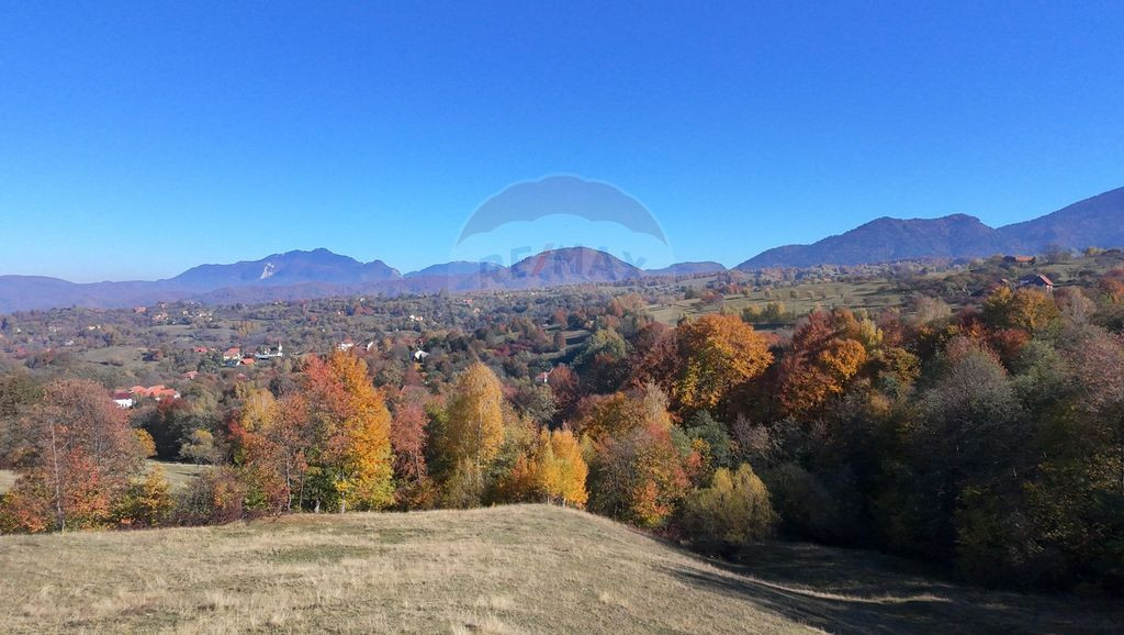 Teren 3,500mp Bran / Strada Bradul Inalt