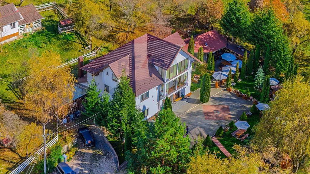 Pensiunea Scărișoara – Refugiul din Inima Rucărului ...