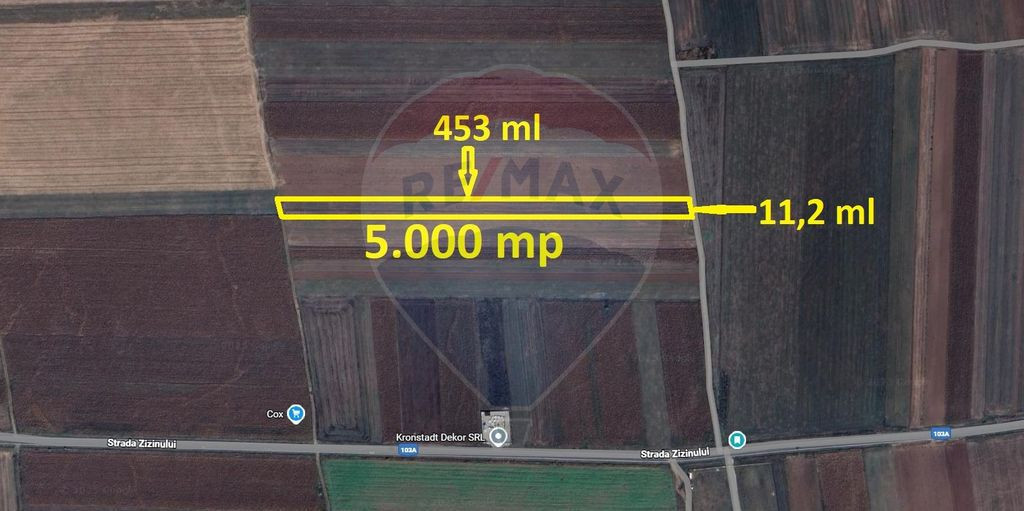 Teren Extravilan 5.000 mp Tarlungeni / Strada Zizinului