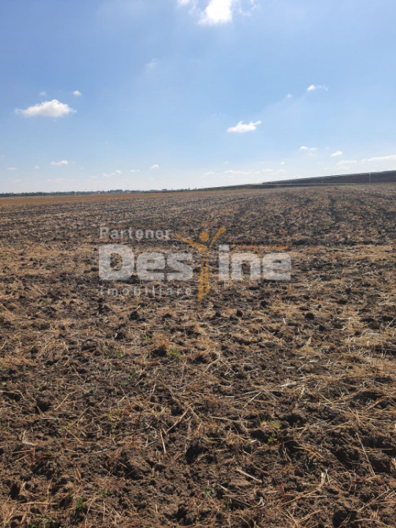 TEREN EXTRAVILAN 7.802 mp –DOMNESTI, ILFOV