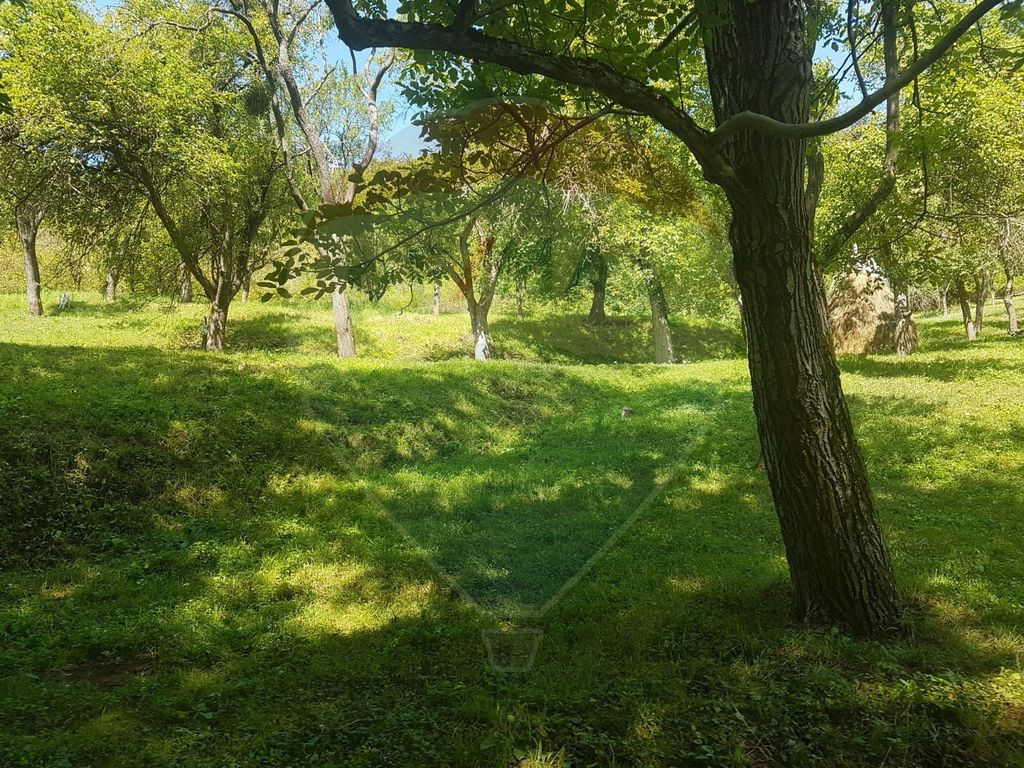 1.72 ha TEREN DE VANZARE - Seini