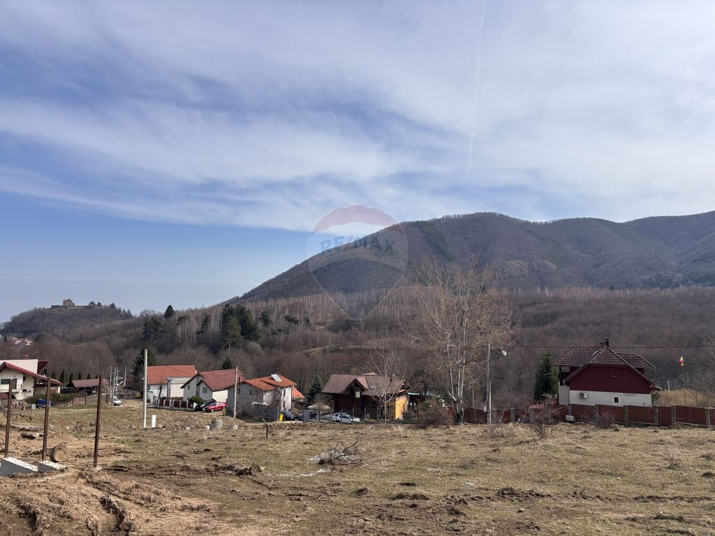 Teren 1,697mp Cisnadioara / Strada Silvicultorilor