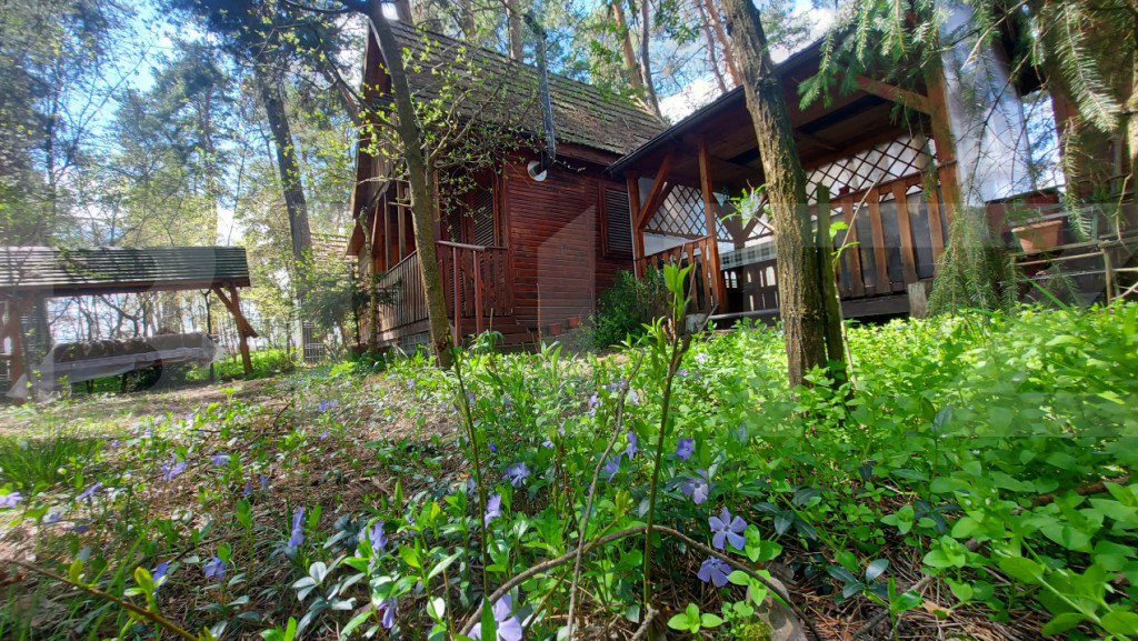 Căsuță de vacanță lângă Lacul Reci