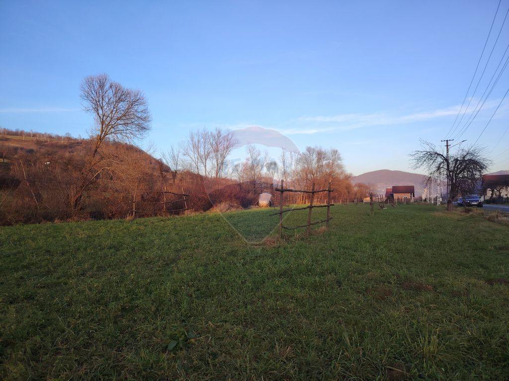 COMISION 0% Teren intravilan de vanzare in Barsana (26 ARI)