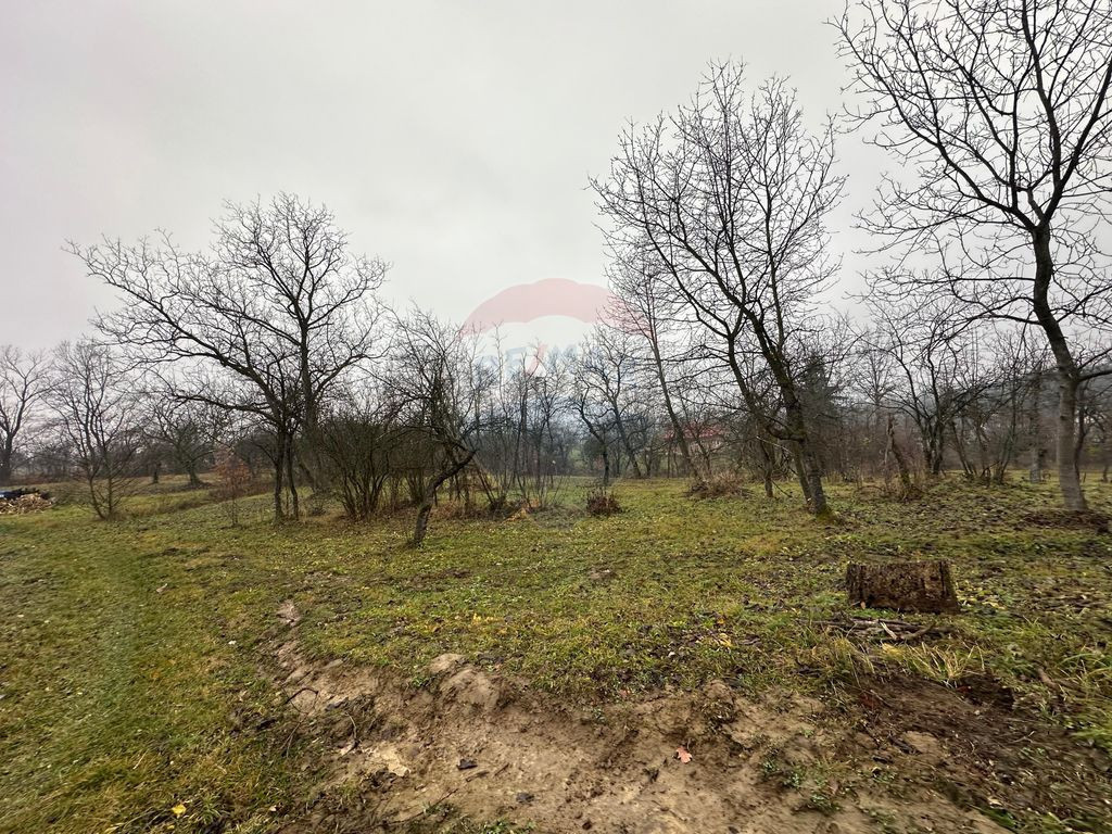 DE VANZARE - Teren strada Miron Costin