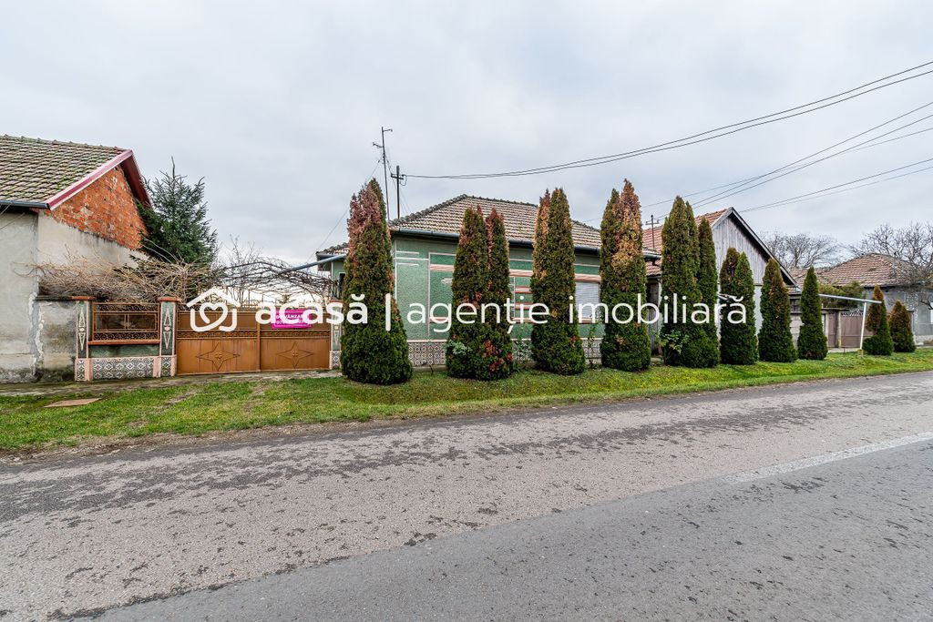 Casă + livadă tânără + curte 2.500 mp în Dorobanți