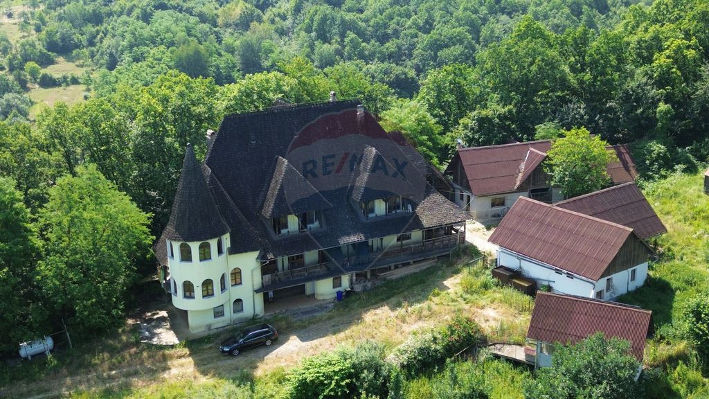 CASTEL DE VANZARE IN MARAMURES