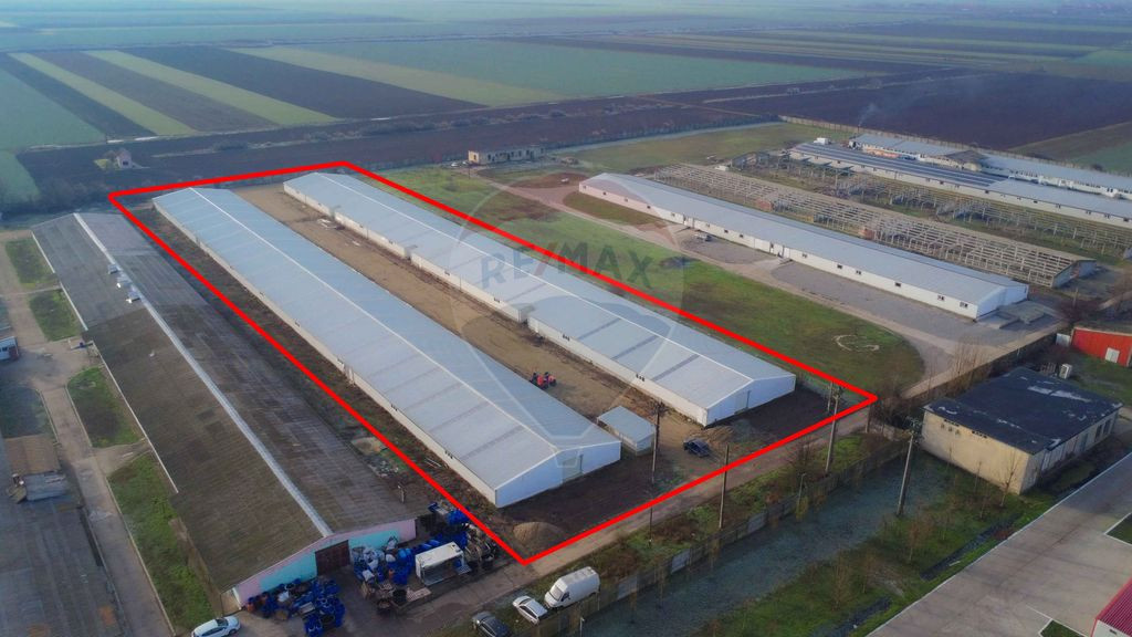 De închiriat -2 hale industriale, 5.050 mp utili, Palota...