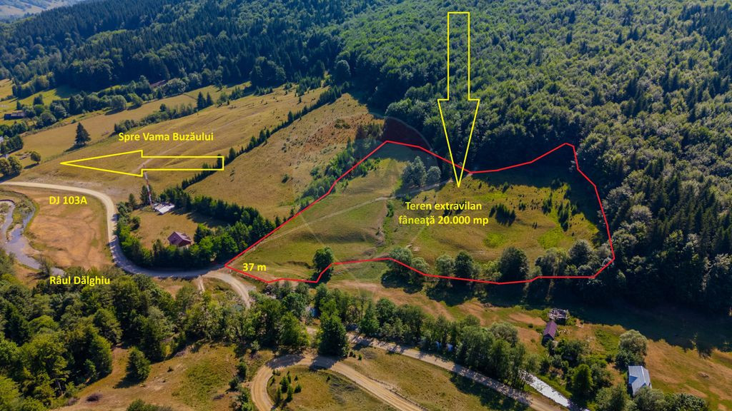 Teren 20000 mp, sat Dalghiu, com Vama Buzaului