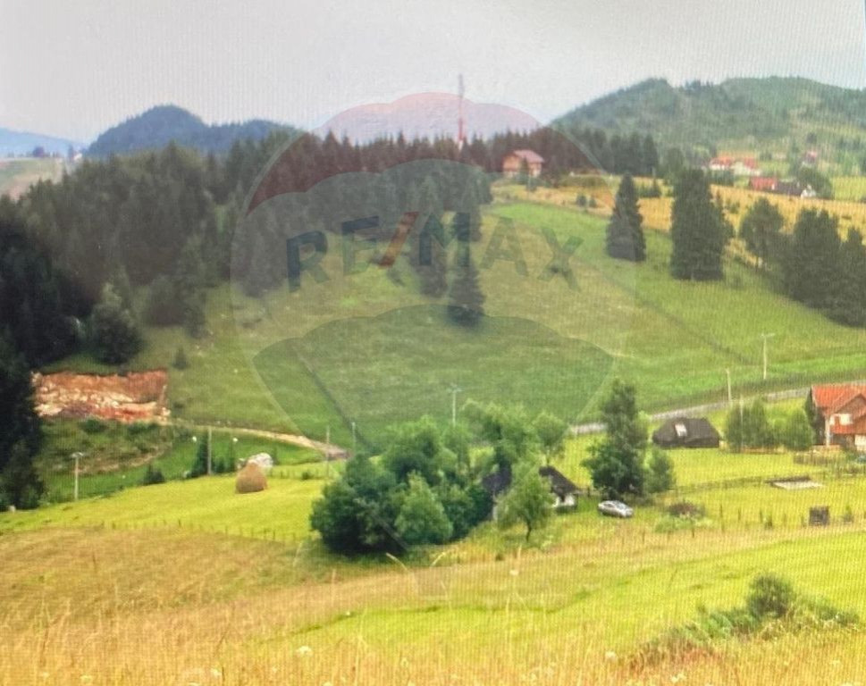 Teren de vis în Fundata 1934mp sau 3868mp, la înălțim...