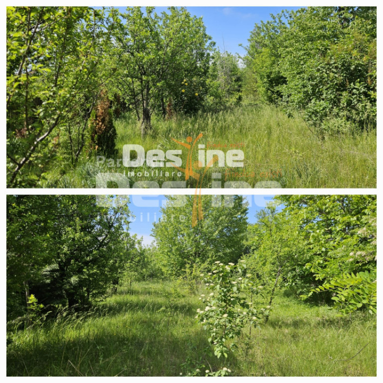 Tomesti-Chicerea, teren intravilan 3523 mp