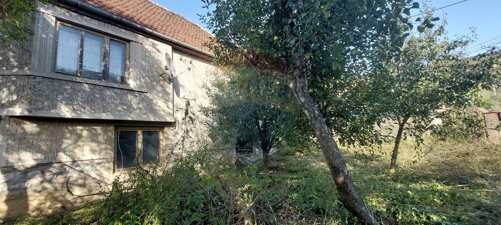 Casă individuala cu teren generos