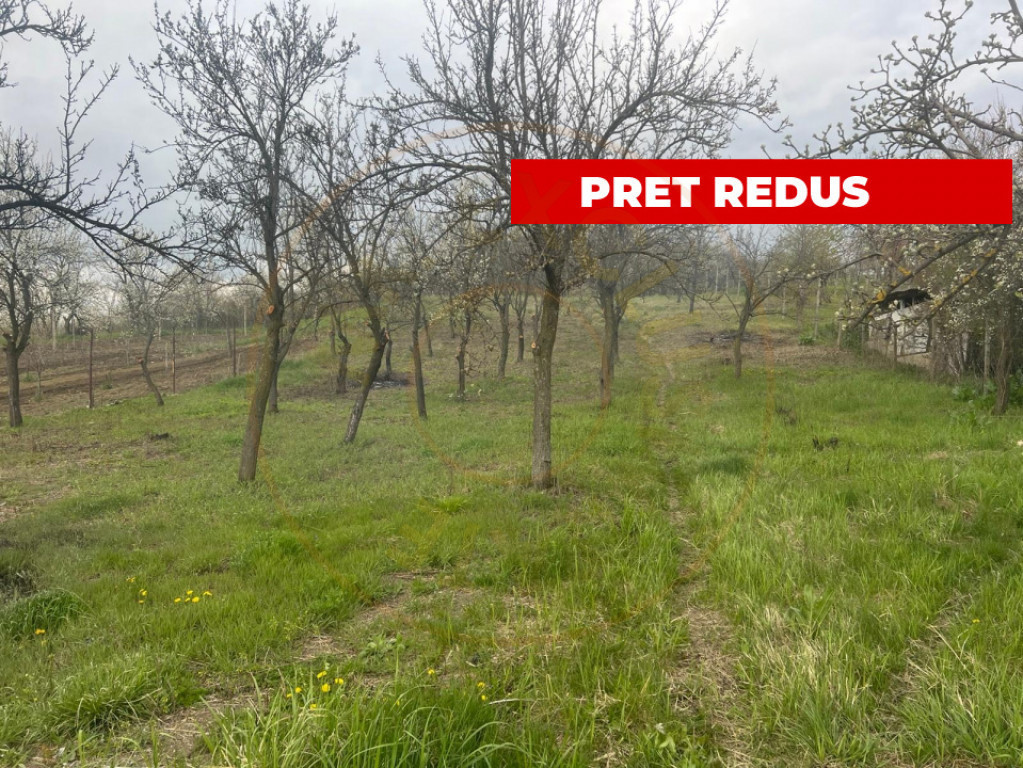 Teren intravilan 2.200 mp cu constructie existenta –Caline